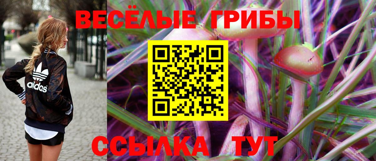 Псилоцибиновые грибы мухоморы Орёл