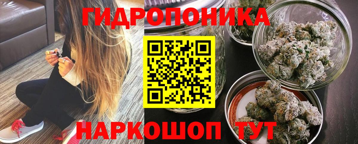Бошки Шишки AK-47  Шишки марихуана план  Канабис сатива  Вход с VPN  Орёл 
